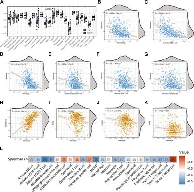 Integrated transcriptomic and immunological profiling reveals new diagnostic and prognostic models for cutaneous melanoma